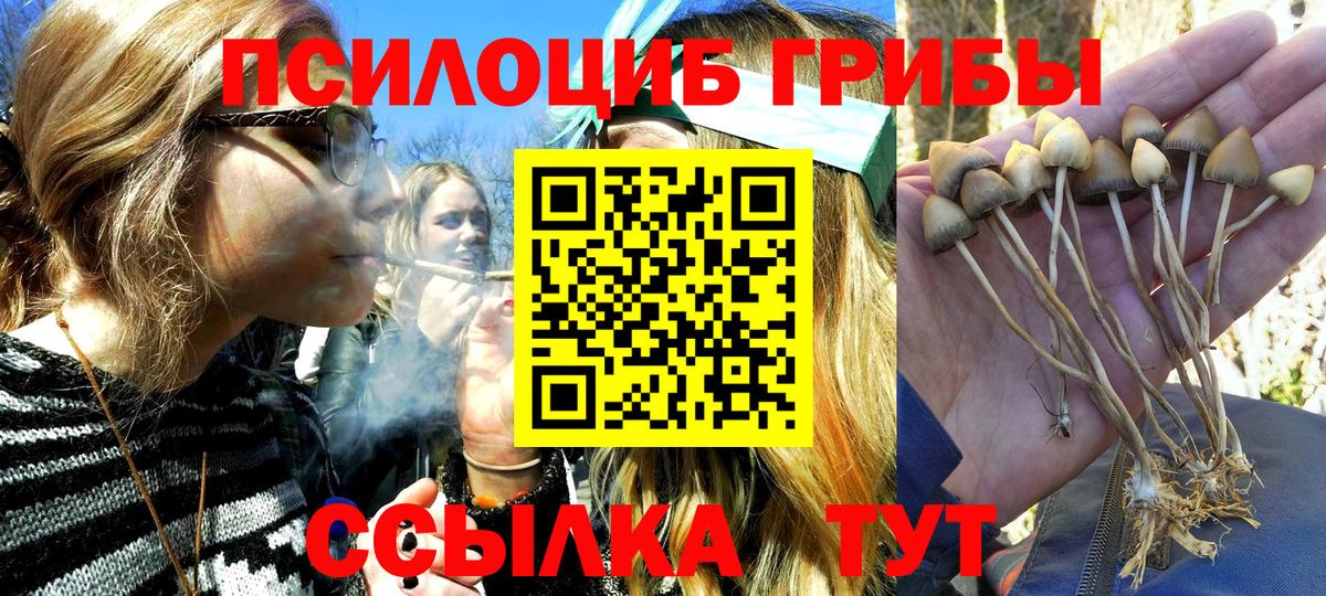 Галлюциногенные грибы прущие грибы Урус-Мартан